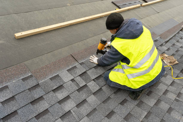 Best Metal Roofing Contractor  in Papillion, NE