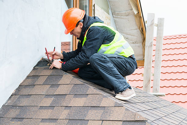 Best Shingle Roofing Installation  in Papillion, NE
