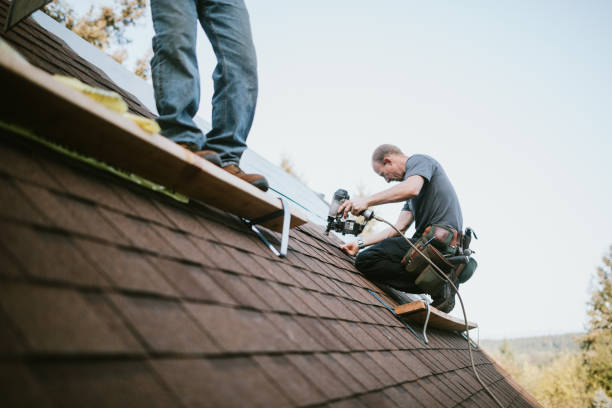 Quick and Trustworthy Emergency Roof Repair Services in Papillion, NE