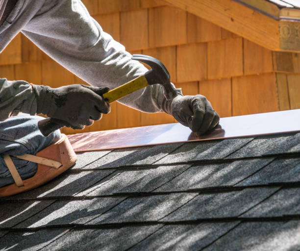 Best Roof Repair Services  in Papillion, NE